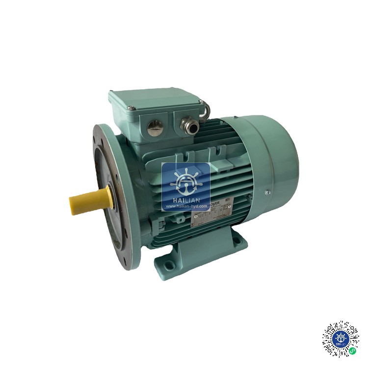 Electric Motor MS112M-4 -TTS MARINE CRANES AS Spare Parts