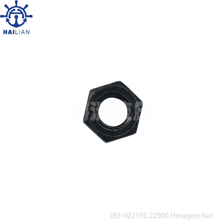 283-002195.22000 Hexagon Nut For 6MBP-320 Valve Unit Parts 404932A