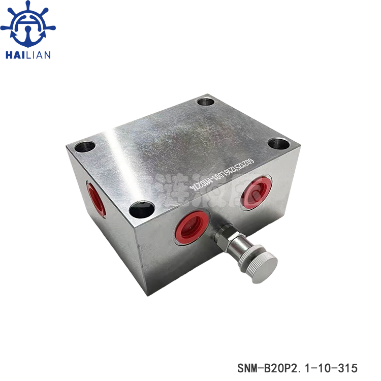 BRAKE VALVE B20P2.1-10/315 FOR DECK CRANE_HYDRAULIC VALVE