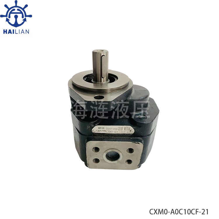 CXM0-A0C10CF-21 GEAR PUMP FOR SHIP HYDRAULIC DECK-SPARE PARTS