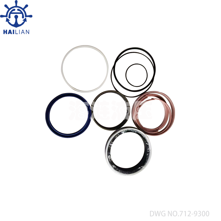 DWG.712-9320 Hydraulic Cylinder Seal Kits For Bulk Carrier Hatch Covers