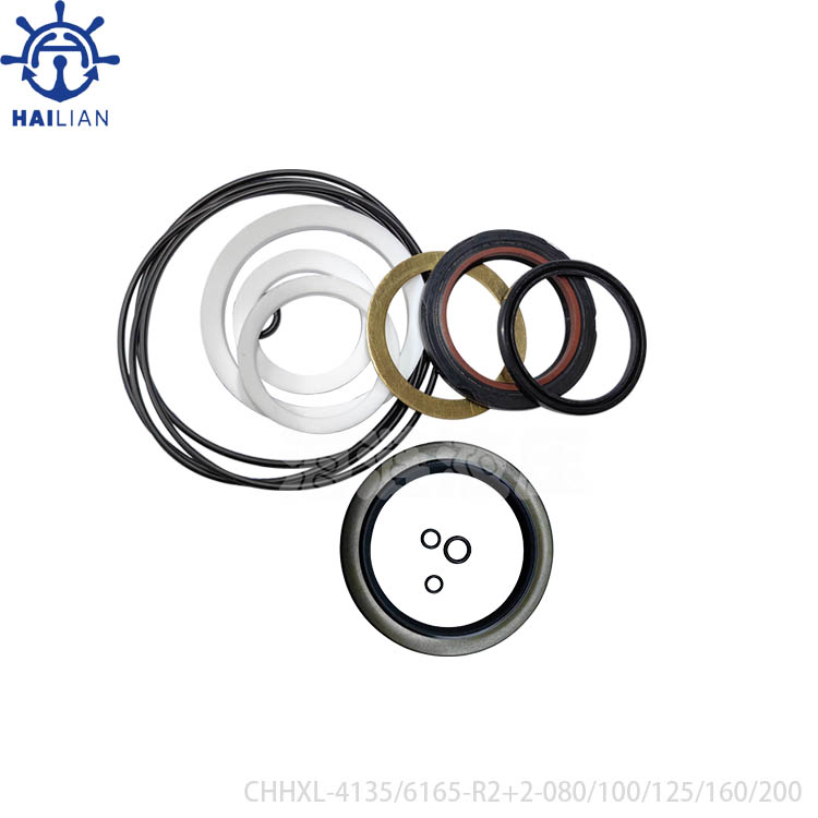 SEAL KITS FOR CYCLO DRIVE CHHXL-4135/CHHXL-6165-R2+2-080-100-125-160-200