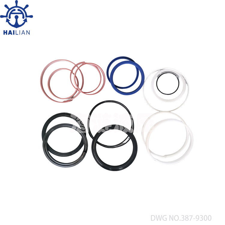 Seal kits for TTS hatch cover hydraulic cylinder DWG NO.387-9300