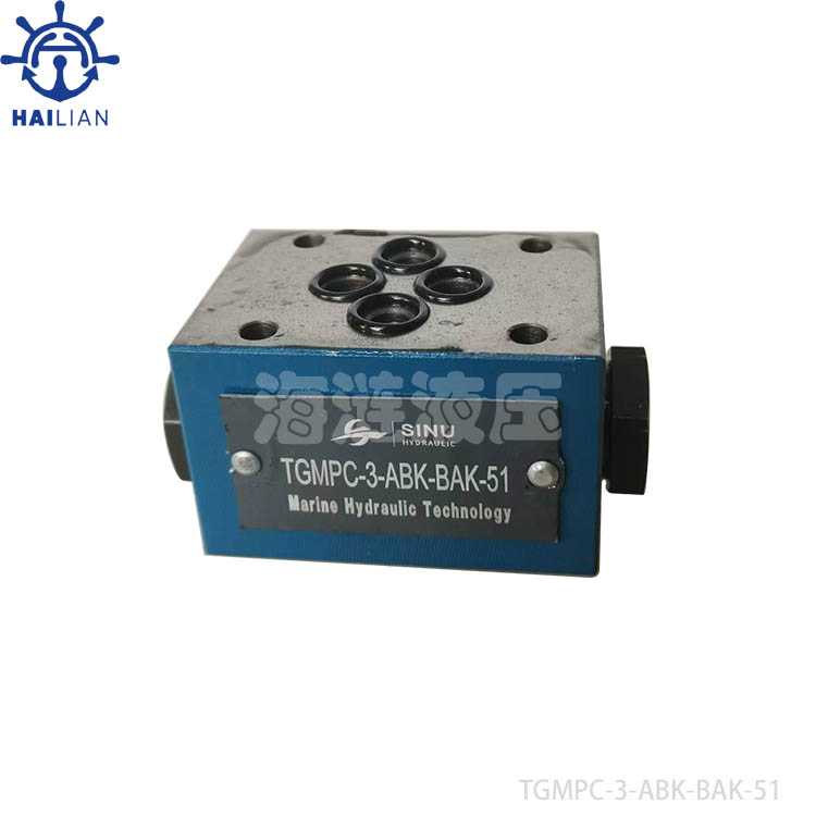 TGMPC-3-ABK-BAK-51 PILOT OPERATED CHECK VALVE FOR HATCH COVER