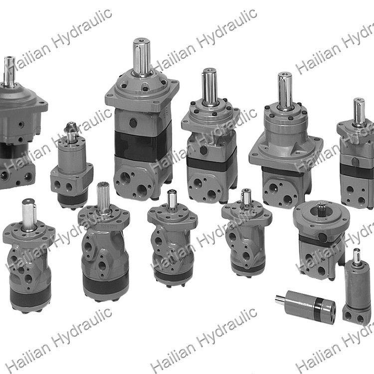 HYDRAULIC MOTOR TF0100AM050AAAA