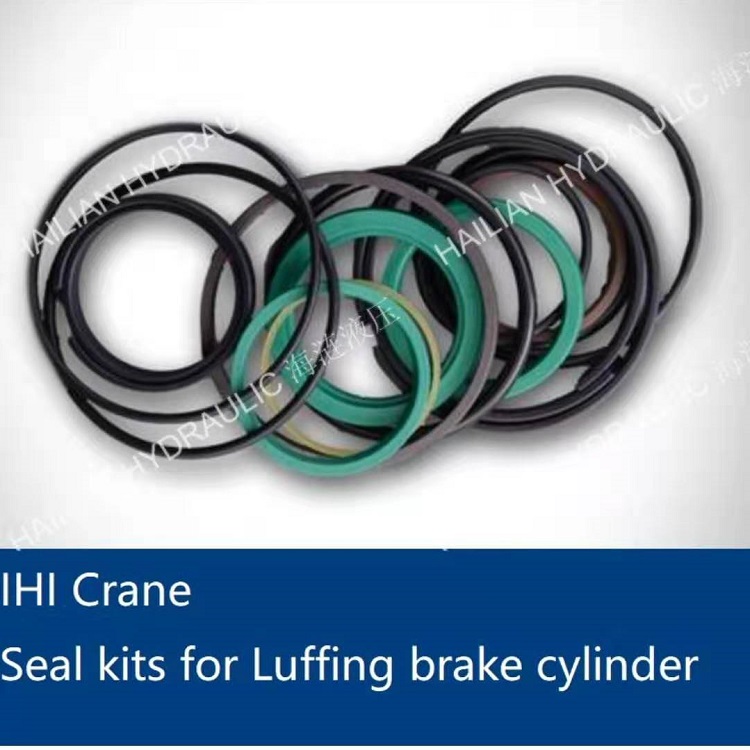 Seal kits for Luffing brake cylinder