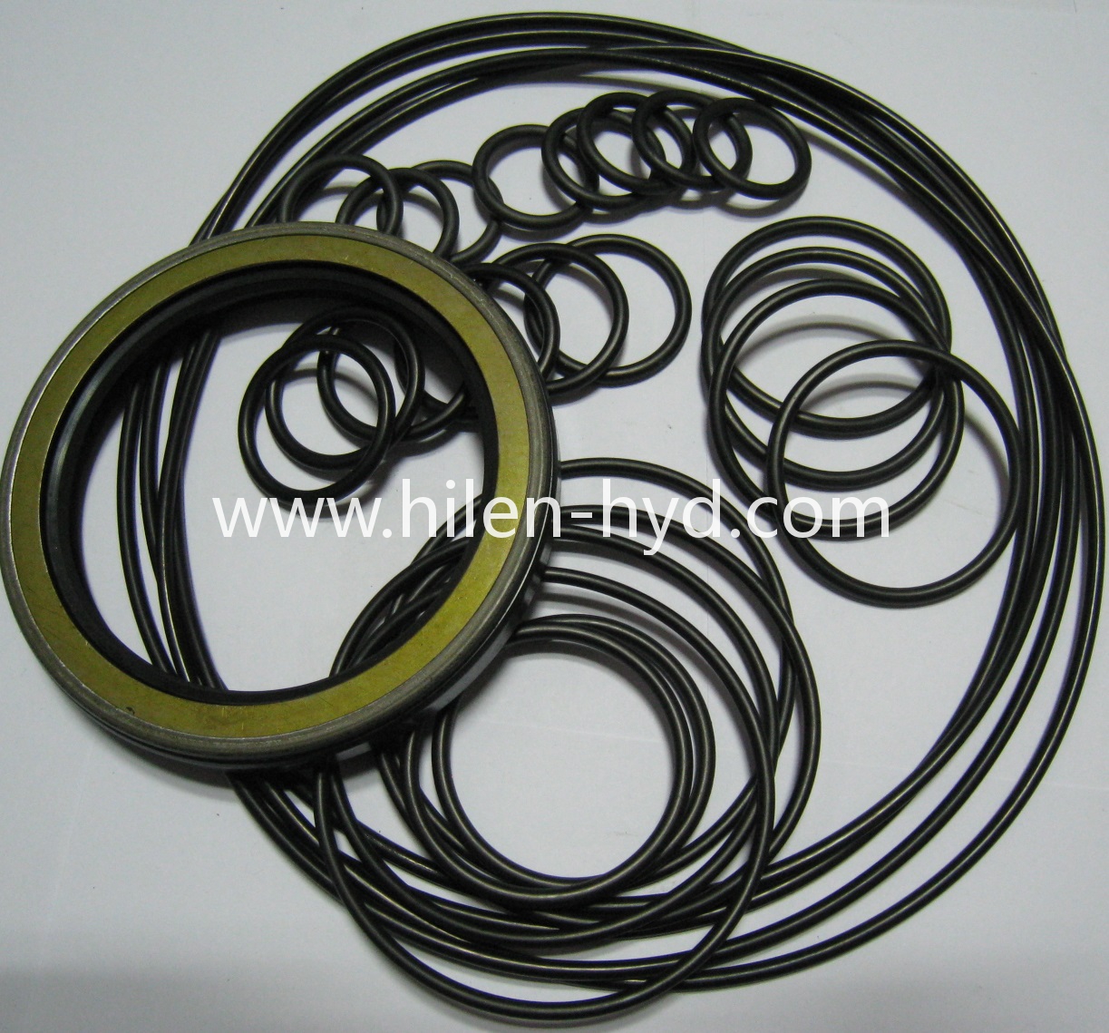 Seal Kits for STAFFA MOTOR HMKC080/T3