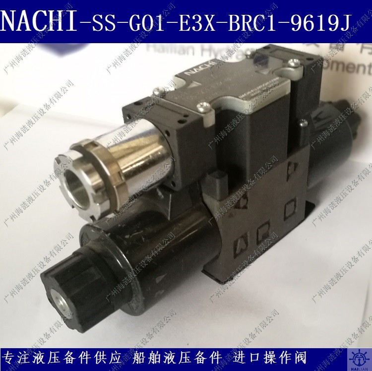 Solenoid Valves SS-G01-E3X-BR-C1-9619J