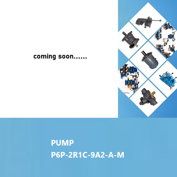 P6P-2R1C-9A2-A-M parker pump