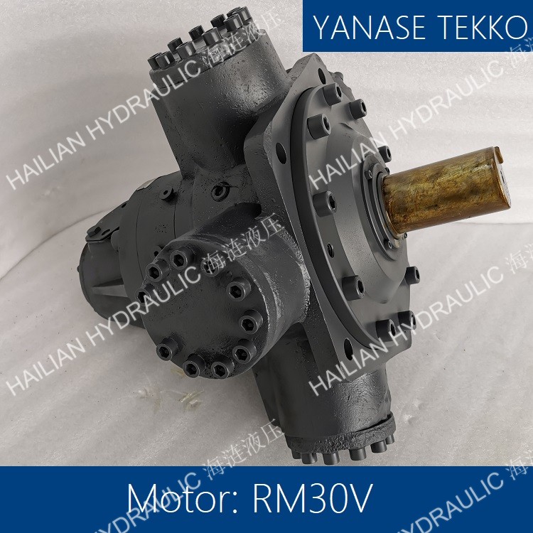 YANASE MOTOR RM30V