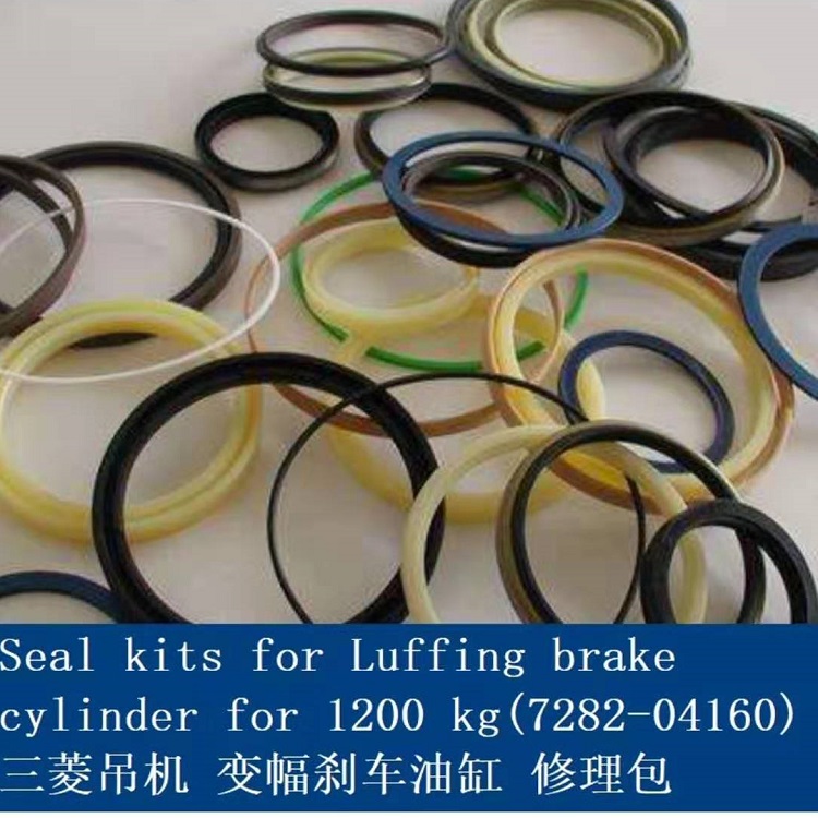 Seal kits for Luffing brake cylinder for 1200 kg(7282-04160)