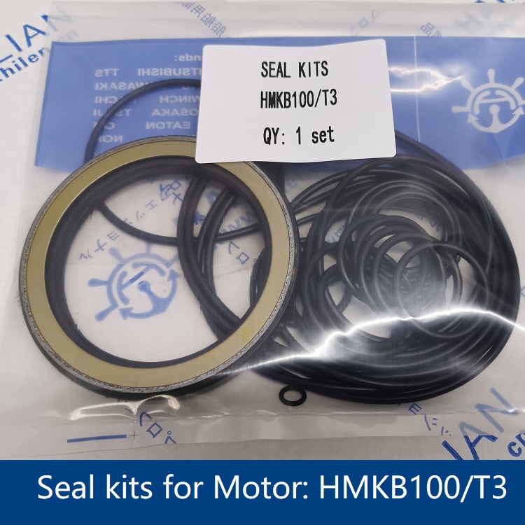 Seal kits for Motor HMKB100/T3