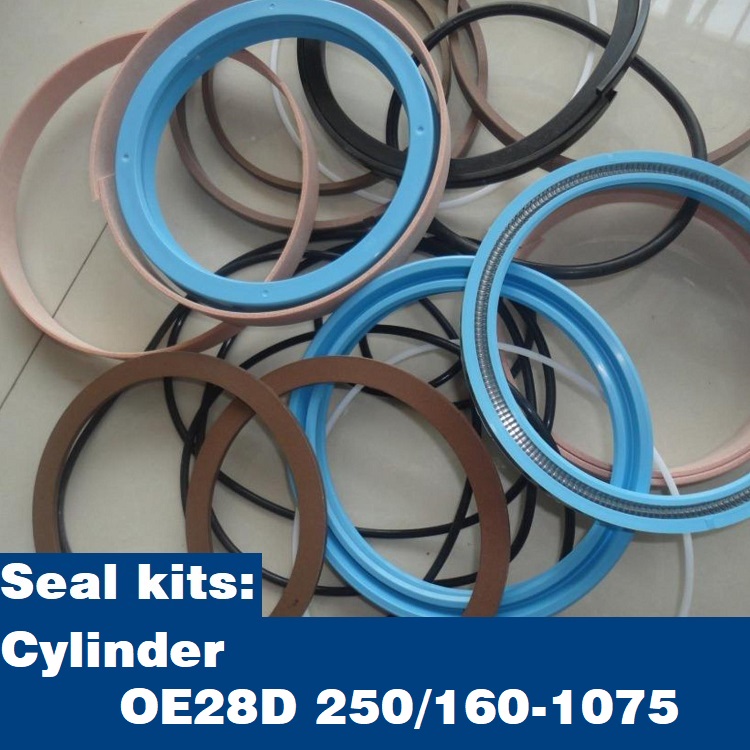 Seal kits for Cylinder OE28D 250160-1075