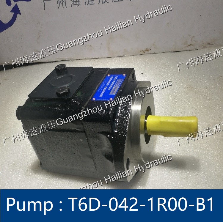Hydraulic Pump T6D-042-1R00-B1