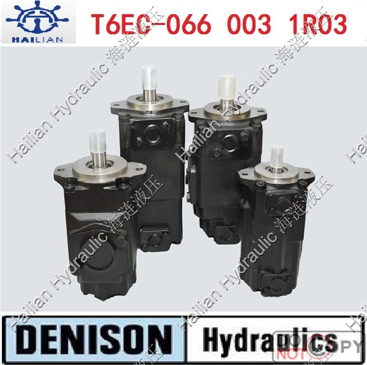 Pump T6EC 066 003 1R03 B1