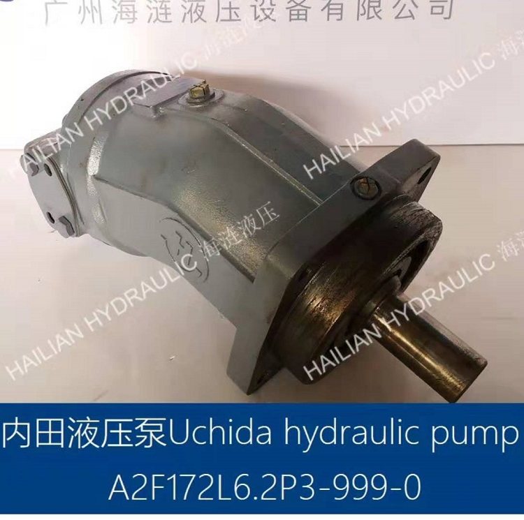 Uchida-Rexroth:A2F172L6.2P3-999-0