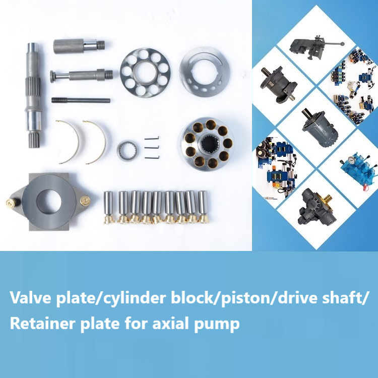 Valve plate cylinder block piston  drive shaft Retainer plate for axial pump for deck