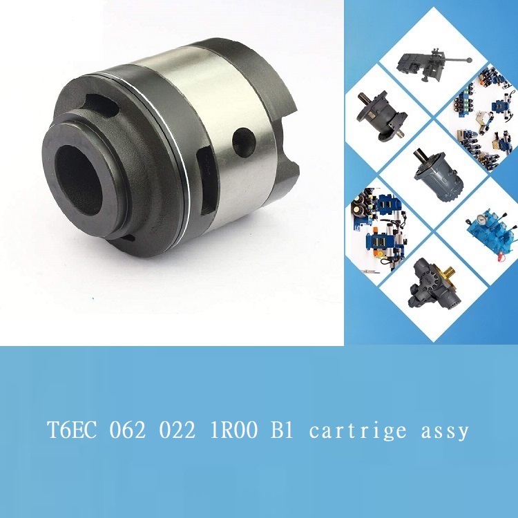 vane pump T6EC 062 022 1R00 B1  cartrige assy seal kits-for deck 750
