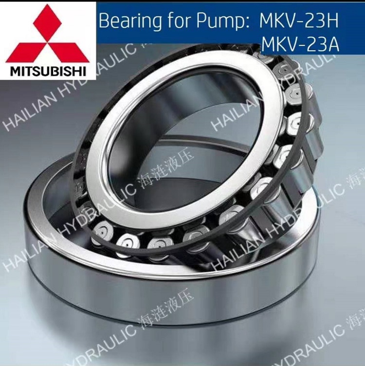 Bearings for Pump MKV23H/MKV-23A
