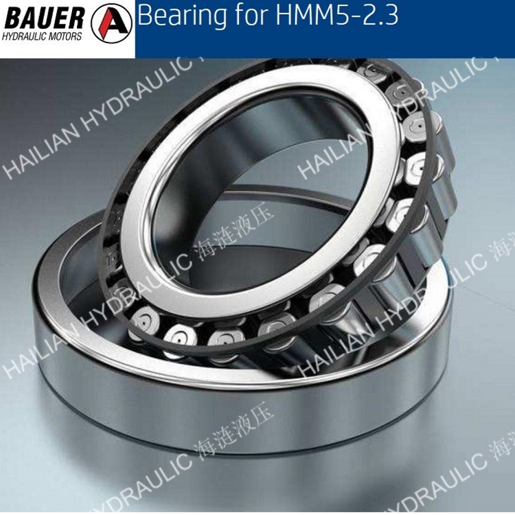 Bearing for HMM5-2.3-P-N-HV279S4