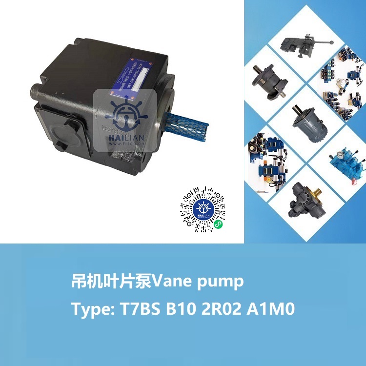 cargo ship Deck crane hydraulic pump-vane pump T7BS B10 2R02 A1M0