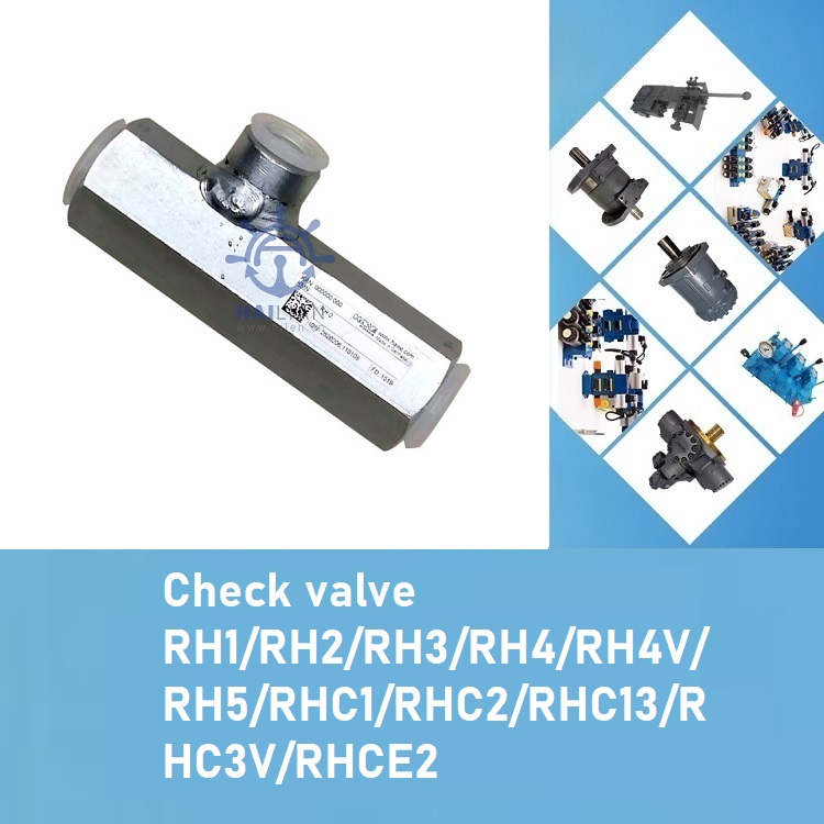 Throttle valve check valve RD