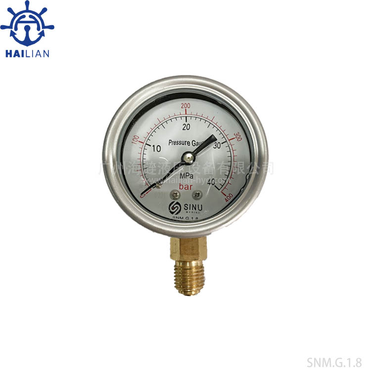 Pressure gauge G1/4  400bar for ship