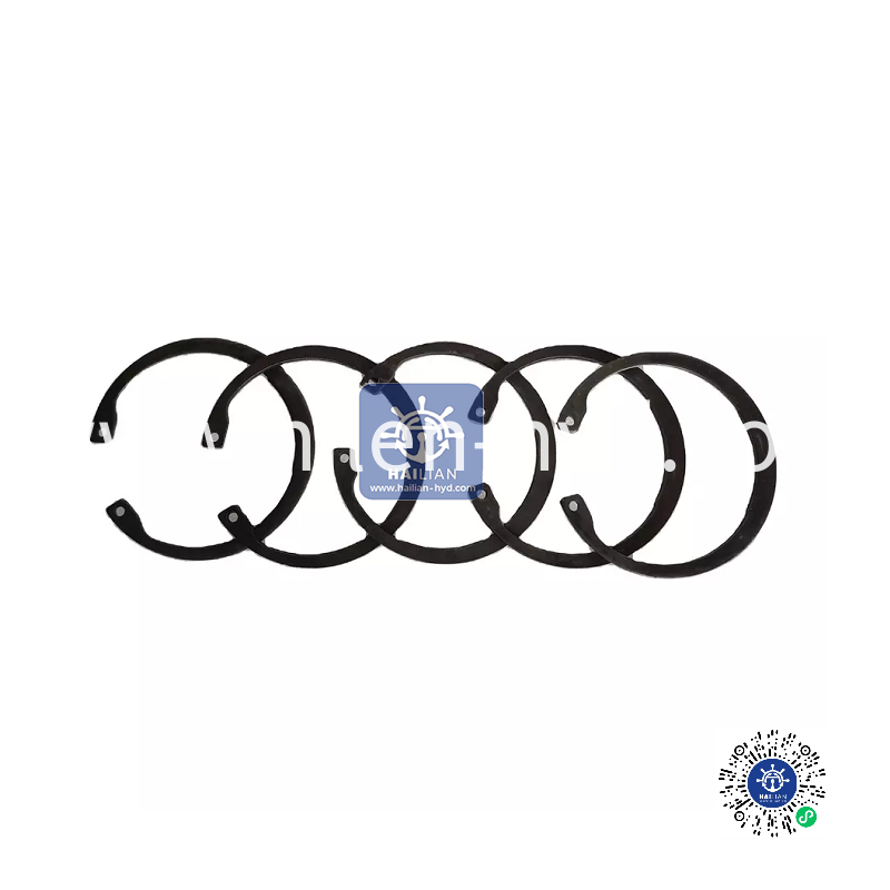 A6VM107 MOTOR Retaining ring ITEM 9