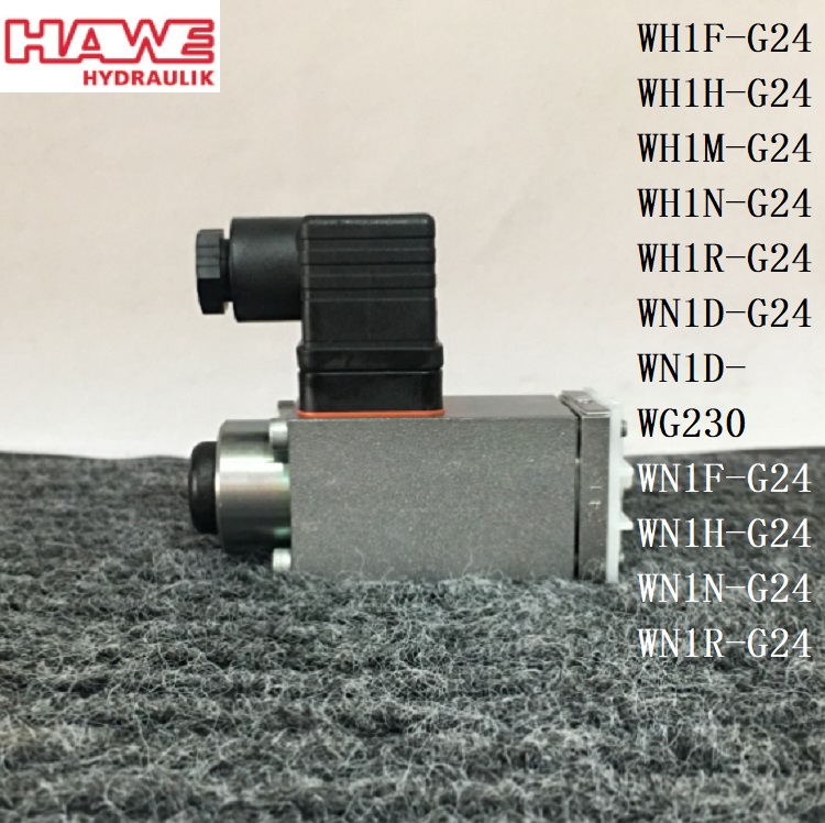 HAWE WH1F-G24 WH1H-G24 WH1M-G24 WH1N-G24