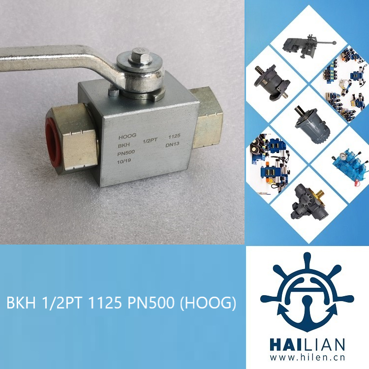 HOOG BKH 1-2PT 1125 BALL VALVE