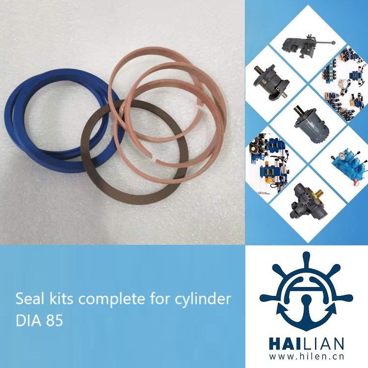 Seal kits complete for cylinder DIA 85