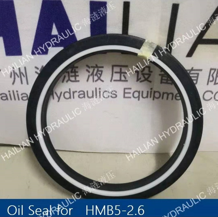 Oil Seal for HMB5-2.6