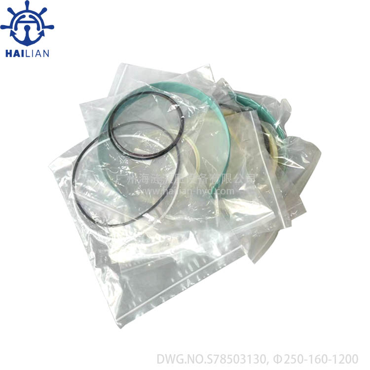 SEOHAE hatch cover hydraulic cylinder seal kits,DWG.NO.S78503131,Φ225-140-1210