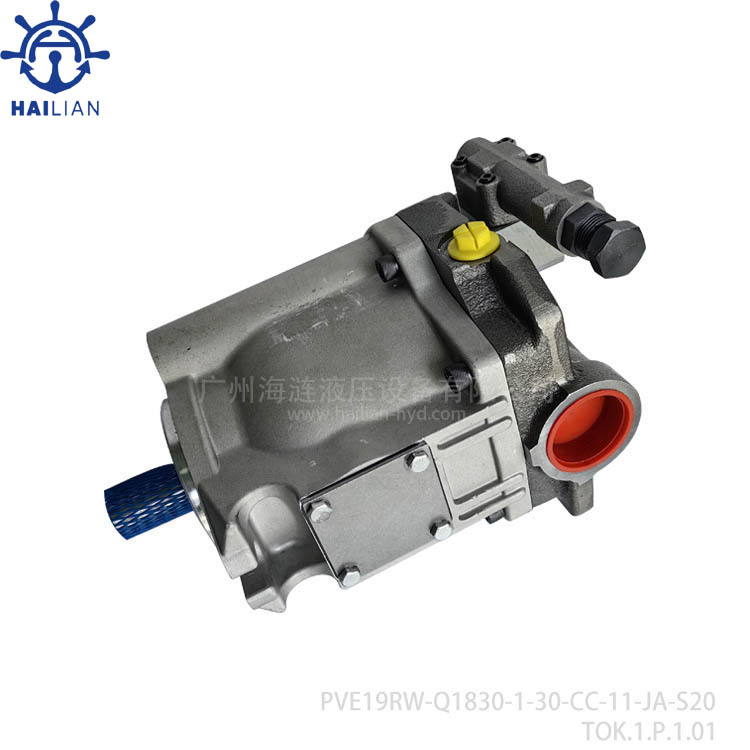 Hydrualic piston pump PVE19RW-Q1830-1-30-CC-11-JA-S20 for steel hatch cover