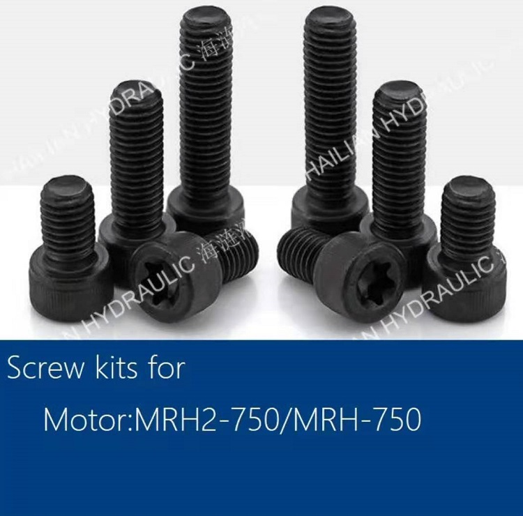 Screw kits for motor:MRH2-750