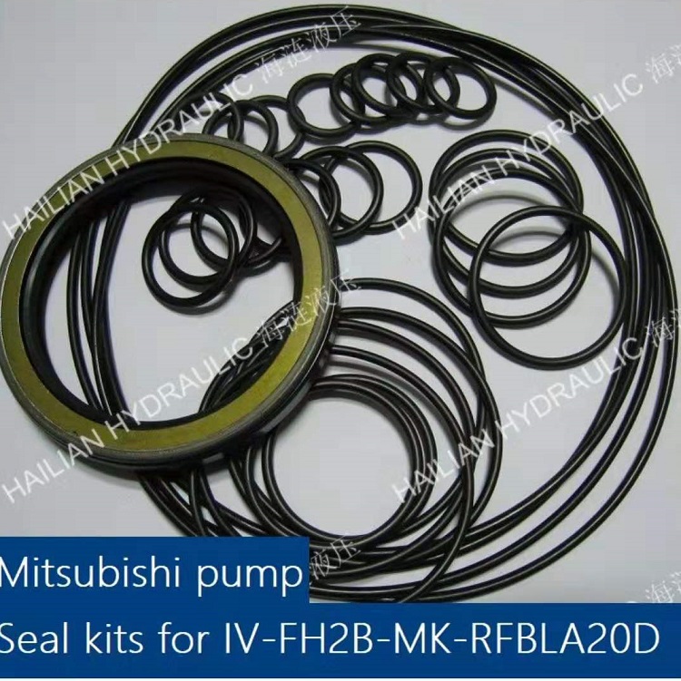 Seal kits for Pump: 1V-FH2B-MK-RFBLA20D11