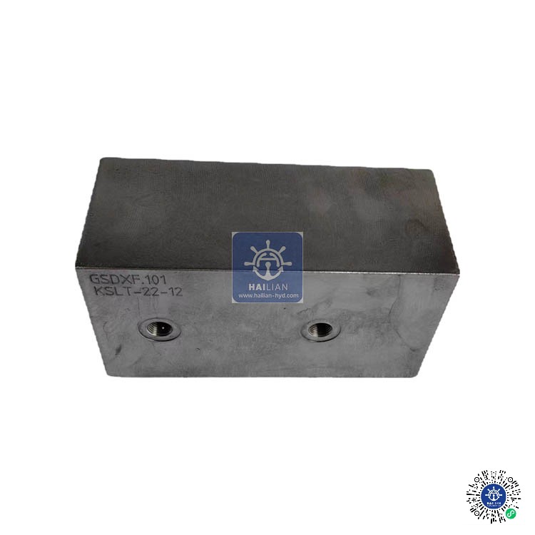 Check valve 8400879-0-00001 for Tsuji crane