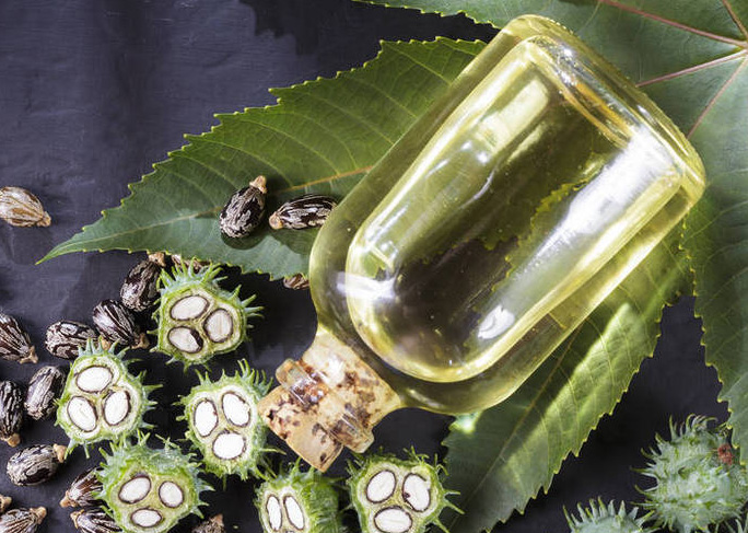 Nutritional value of castor oil