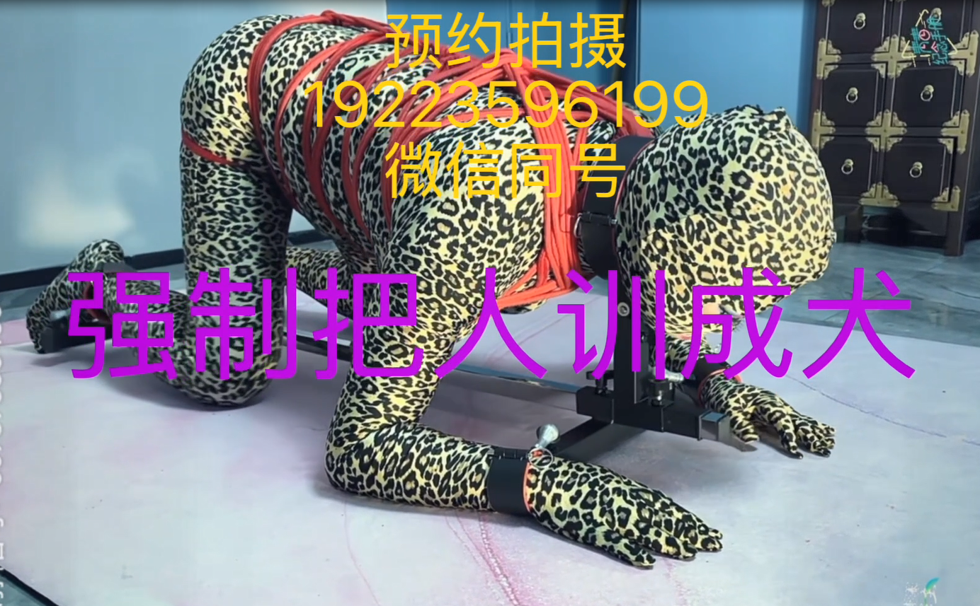 思雨KB手机视频(2)