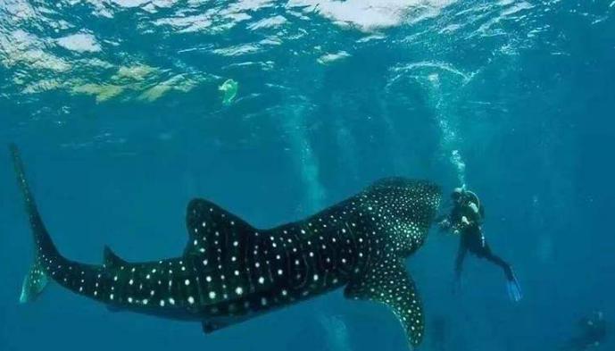 菲律宾巴里卡萨岛