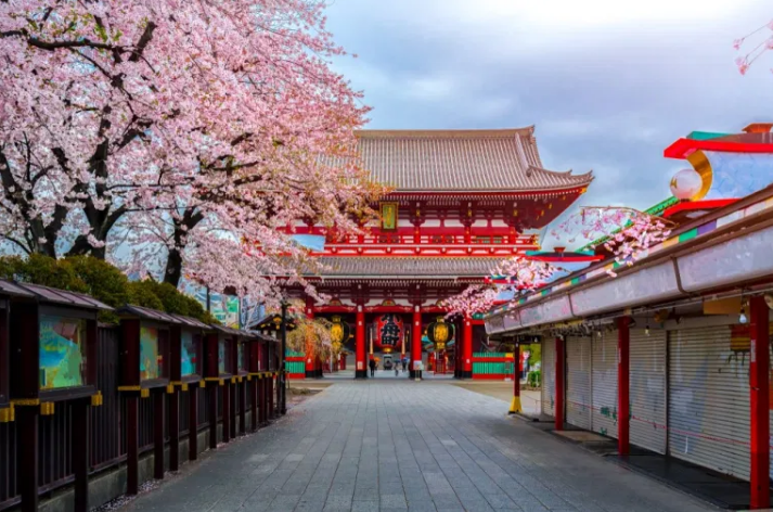 日本旅行转换器