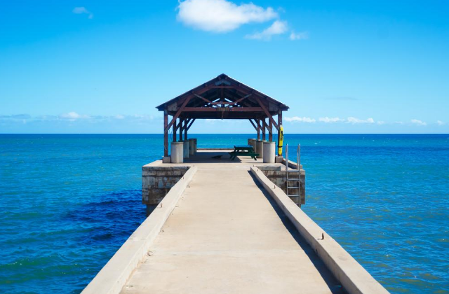 夏威夷旅行轉換器