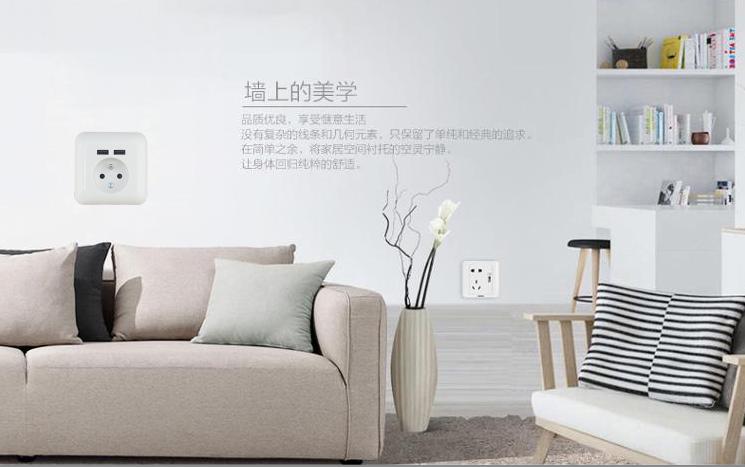 法国USB多用插座