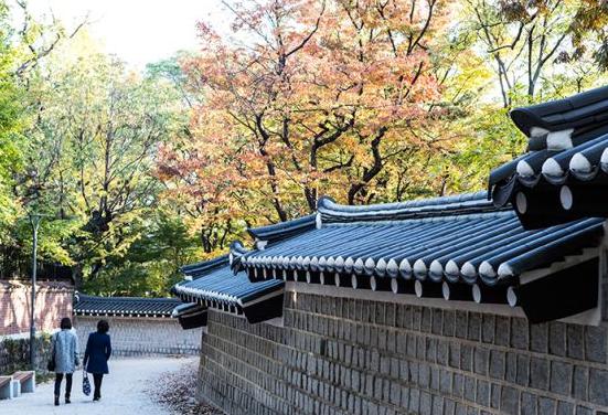 韓國旅游轉換插頭