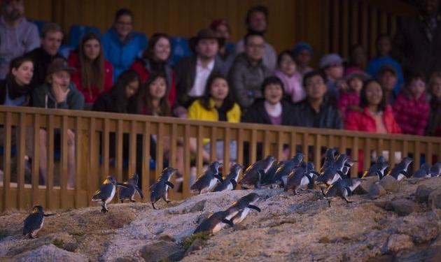 新西蘭轉換插座