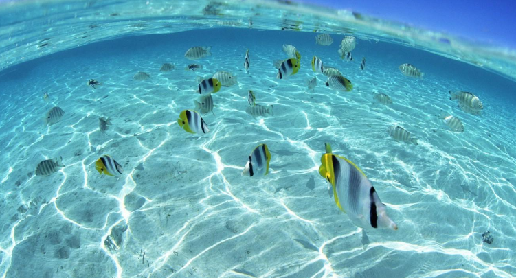 夏威夷旅行攻略