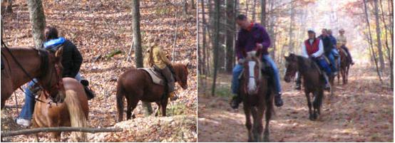 俄亥俄州旅行指南