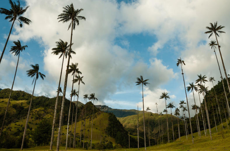 哥倫比亞轉換插頭