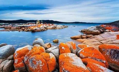 塔斯马尼亚岛旅行转换器