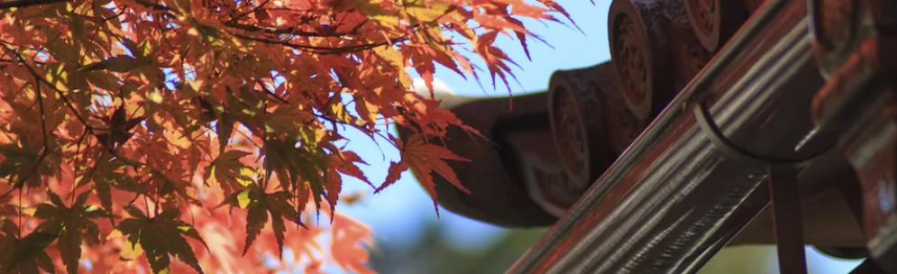 日本旅行